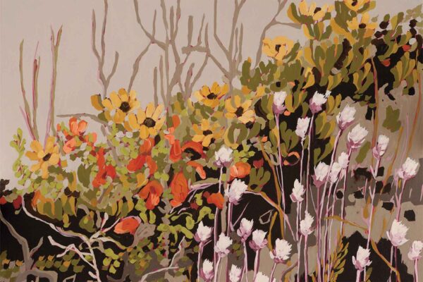 Yellow Cone Bush, wild Sage and Everlastings_Mountain - Image 2