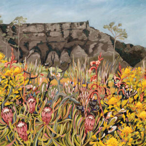 Fynbos landscape with Table Mountain for Joseph and Regula