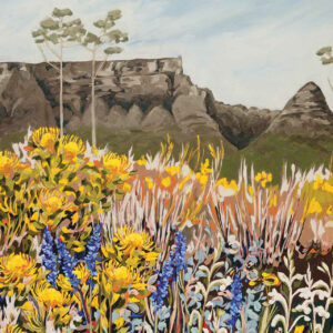 Table Mountain with Pincushions, Aristeas and Watsonias_Grounded