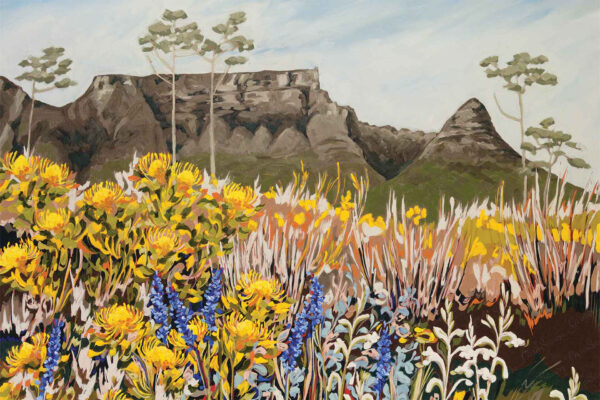 Table Mountain with Pincushions, Aristeas and Watsonias_Grounded - Image 2