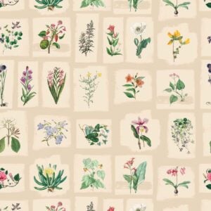 Floral Inserts