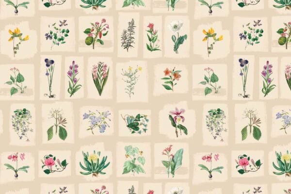 Floral Inserts - Image 2