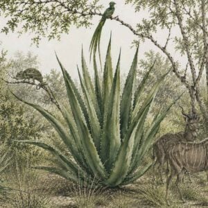 Aloe Assembly