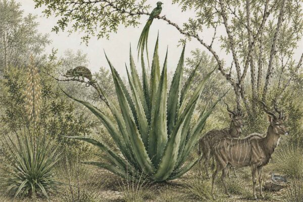Aloe Assembly - Image 2