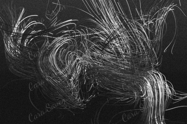 Chaos and Disorder - Image 2
