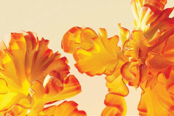 Organic Surprise - Image 2