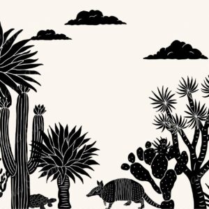 Arizona