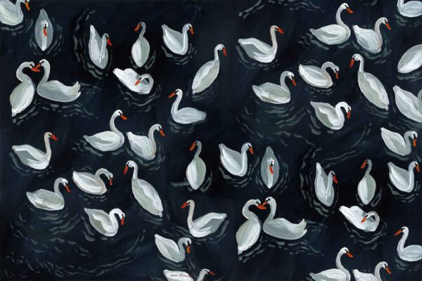 Swanning Around - Image 2