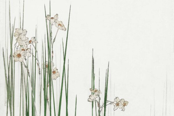 By the Pond - Image 2