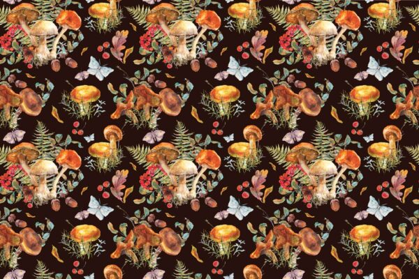 Fungi and Flutters - Image 2