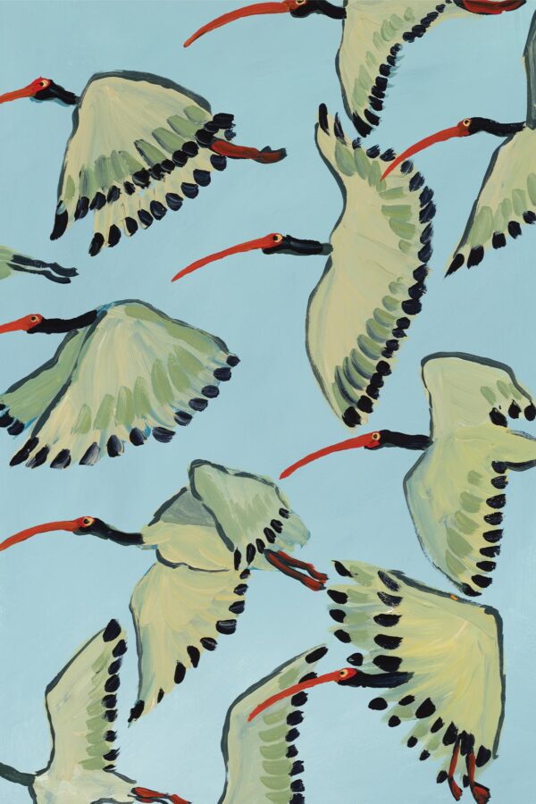 White Ibis in Flight - Image 2