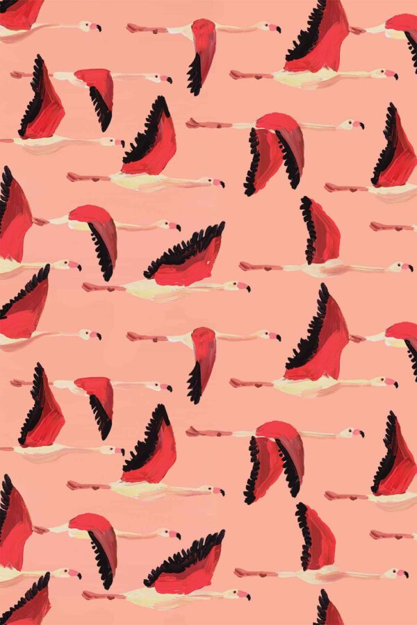 Flamingo Fly By - Image 2