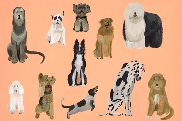 Goldendoodle & Co - Huddle - Image 3