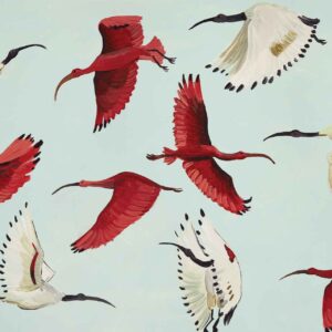 Ibis Dancers