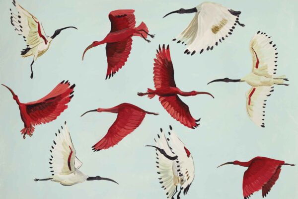 Ibis Dancers - Image 2