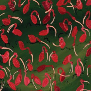 Scarlet Ibis Flock