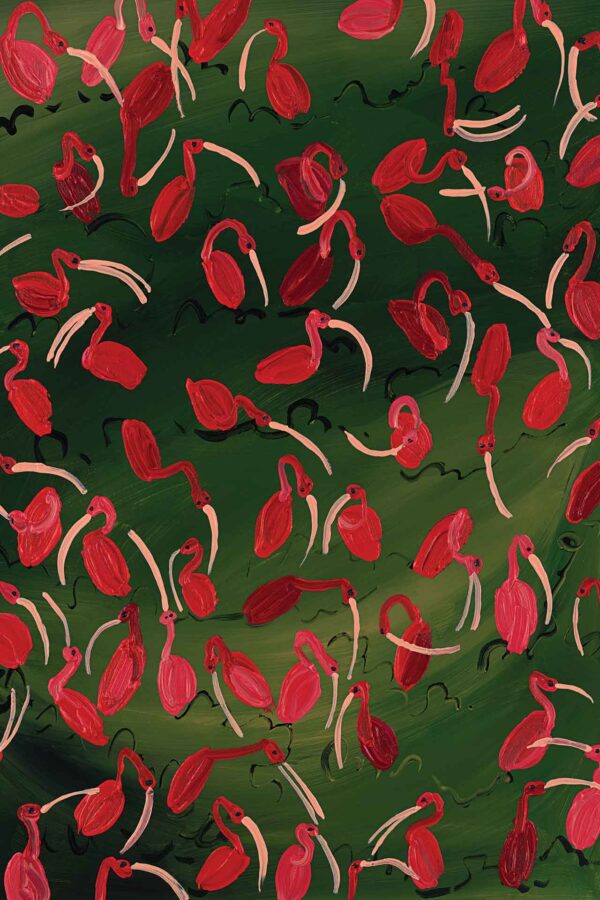 Scarlet Ibis Flock - Image 2