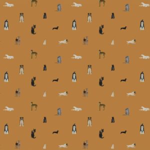 Schnauzer & Co - Roam