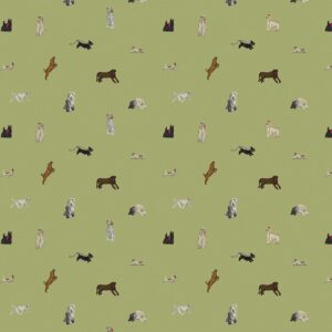 Sheepdog & Co - Roam