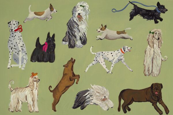 Sheepdog & Co - Huddle - Image 3