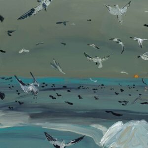 Storm Seagulls