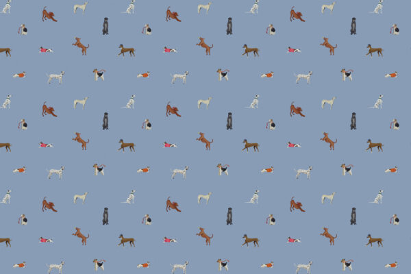 Vizsla & Co - Roam - Image 2
