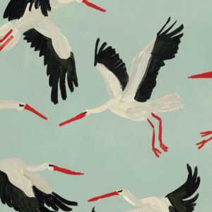 White Storks in Flight