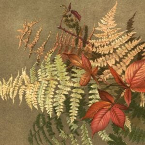 Fern Bouquet