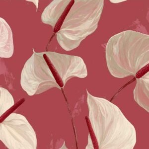 High Lily Low Lily