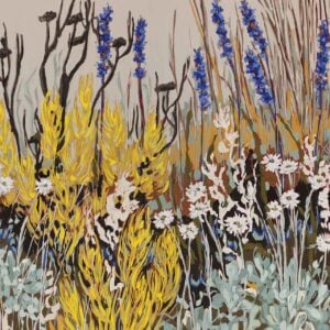 Fynbos landscape with Aristea Everlastings & Leucadendron - 2026