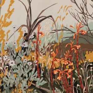 Fynbos landscape with Watsonia and Everlasting - 2026