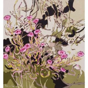 Northern Paperposy - 2026