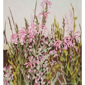 Pink Ericas - 2026