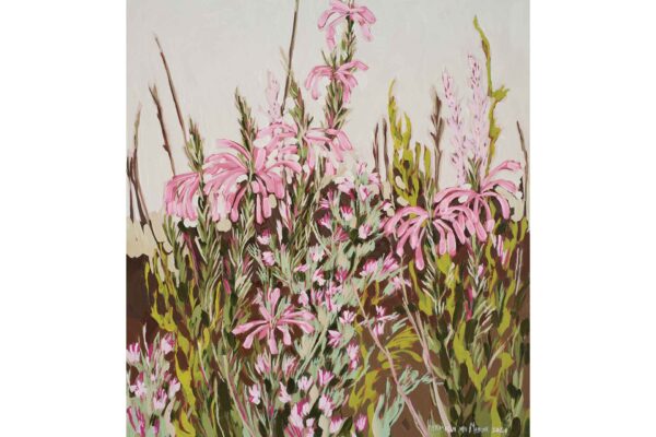 Pink Ericas - 2026 - Image 2