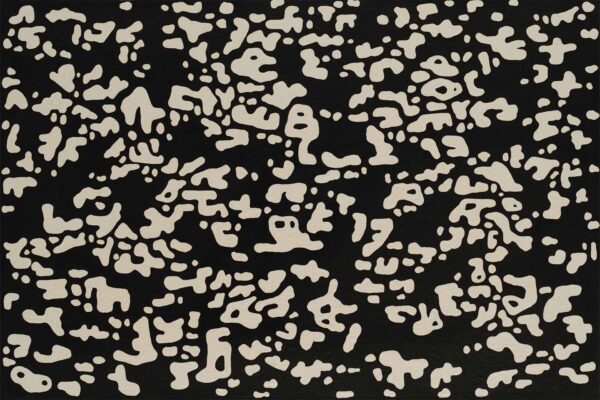 Dappled - Image 2