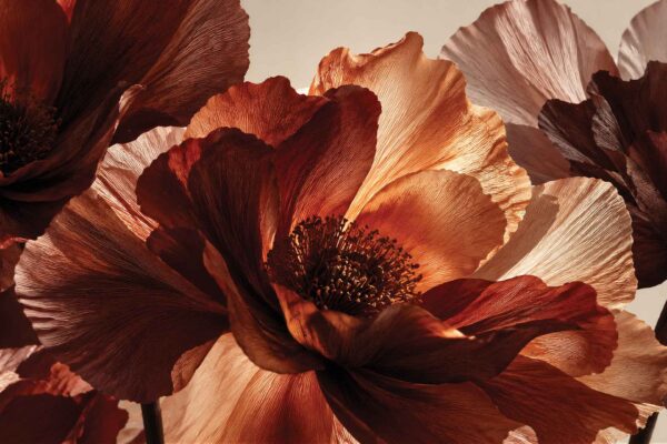 Feel the Flamenco - Image 2