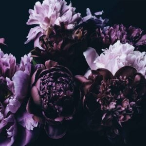 Violet Expression