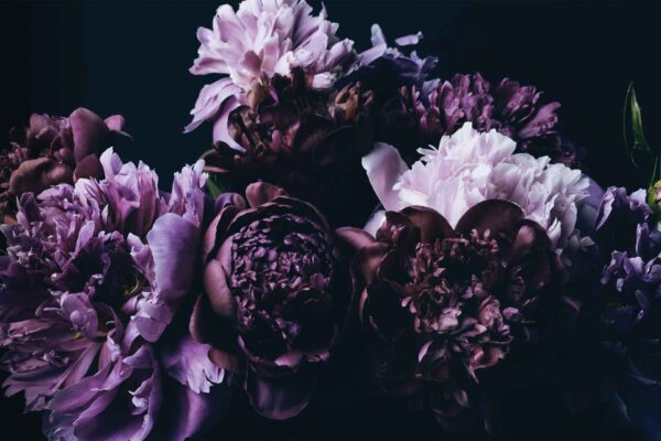 Violet Expression - Image 2