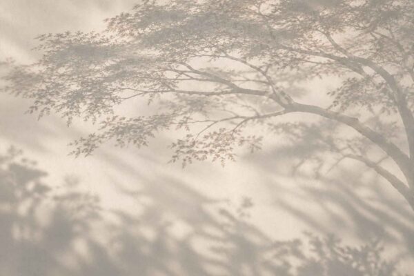Chasing Sun - Image 2