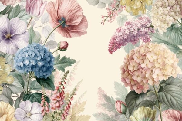 Hortensia - Image 2