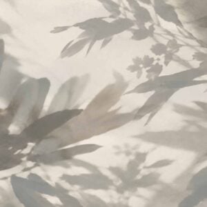 Shadow Life