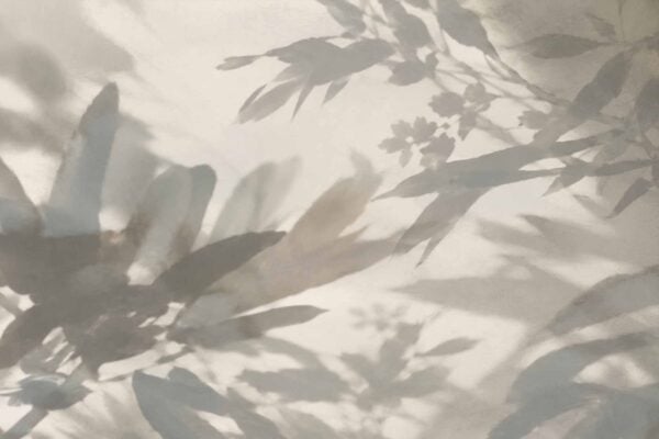 Shadow Life - Image 2